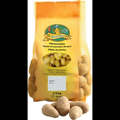 Saatkartoffeln Charlotte 1 kg